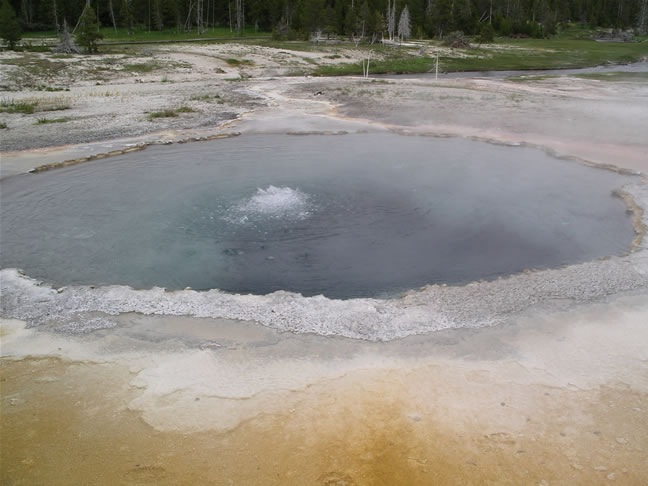 images/M-Crested Pool.jpg